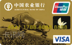 农业银行金穗公务卡（VISA版）
