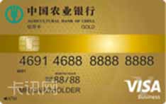 农业银行全球支付信用卡（VISA版-金卡）