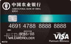 农业银行全球支付信用卡（VISA版-白金卡）