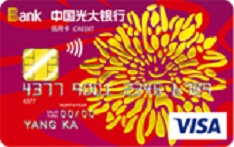 光大银行阳光信用卡（VISA版-普卡）