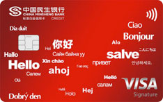 民生银行Visa留学生芯片标准白金信用卡