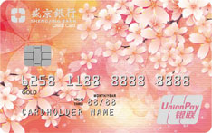 盛京银行靓卡四季系列信用卡（夏）