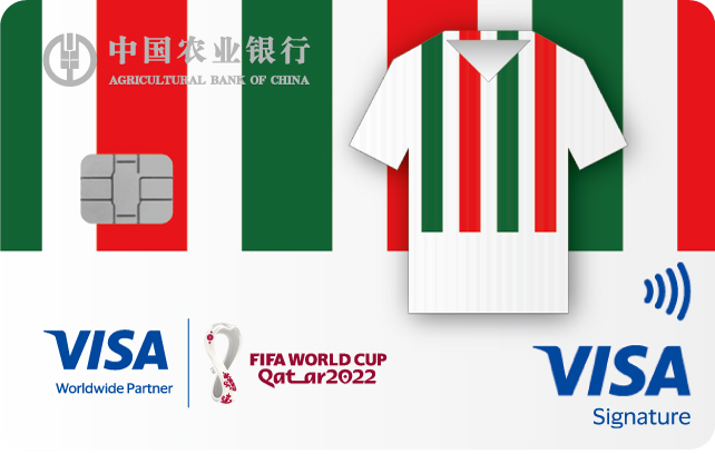 农业银行Visa FIFA世界杯主题信用卡（五盾之队-队服版）