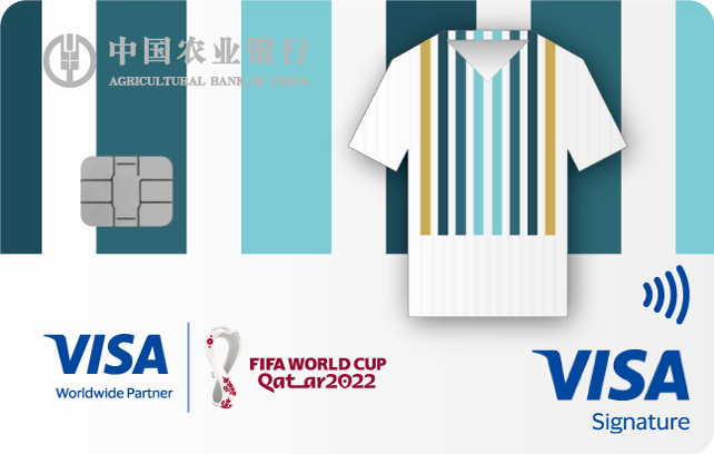 农业银行Visa FIFA世界杯主题信用卡（潘帕斯雄鹰-队服版）