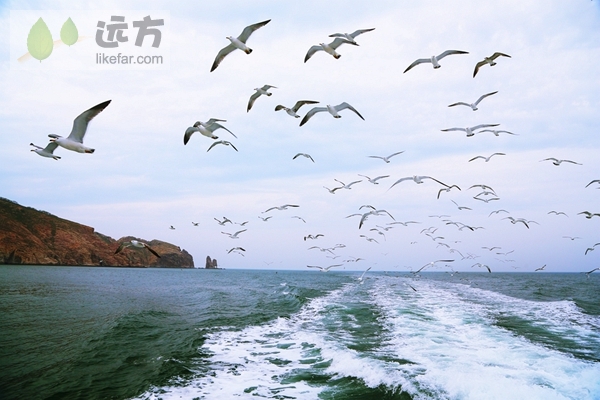 刷中国银行信用卡，享海鸥旅游8.8折优惠